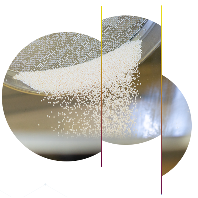 Personalisierte Nahrungsergänzungsmittel personalised supplements